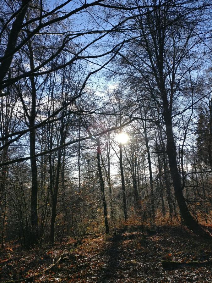 Katharina Ferienwohnung Am Eifelsteig Neroth Экстерьер фото